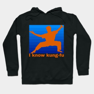 I  know kung-fu t-shirt Hoodie